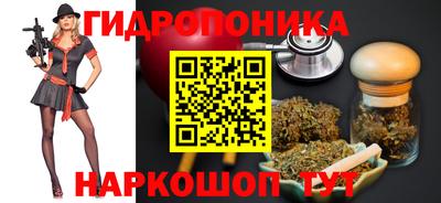 СК Кандалакша