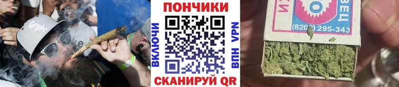 МЕГА как зайти купить наркотики цена Волхов МАРИХУАНА ГИДРОПОН